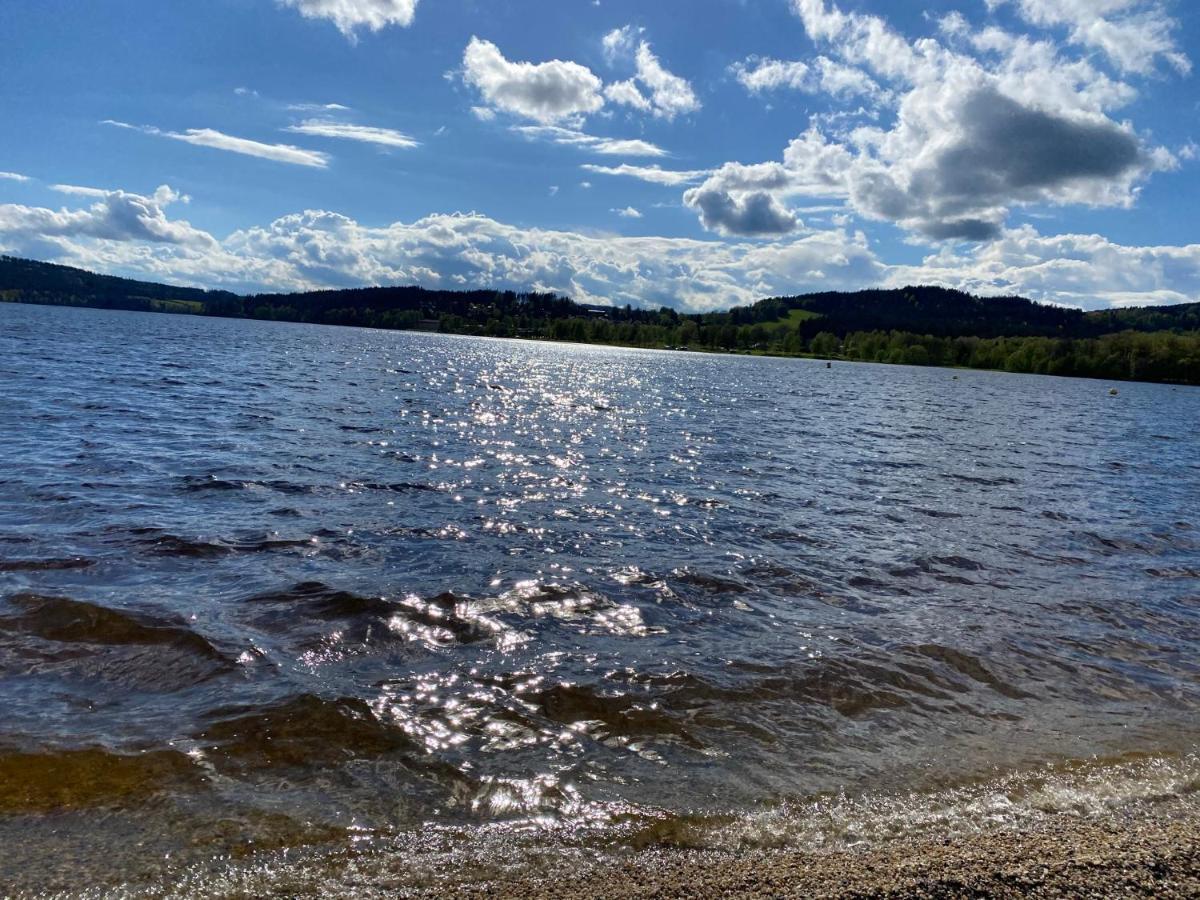 Luxury Apartman Lipno Lipno nad Vltavou Esterno foto