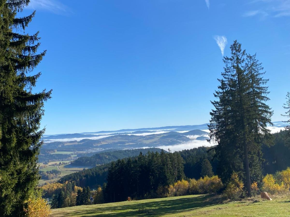 Luxury Apartman Lipno Lipno nad Vltavou Esterno foto